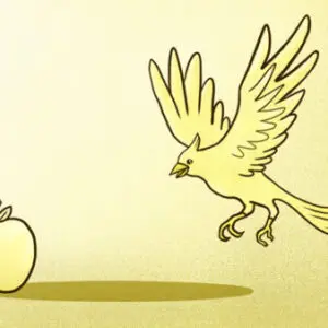 A bird flying over an apple to eat it.
