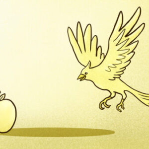 A bird flying over an apple to eat it.