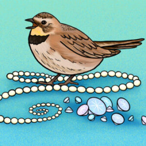 A bird sitting on top of pearls and shells.