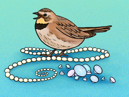 A bird sitting on top of pearls and shells.
